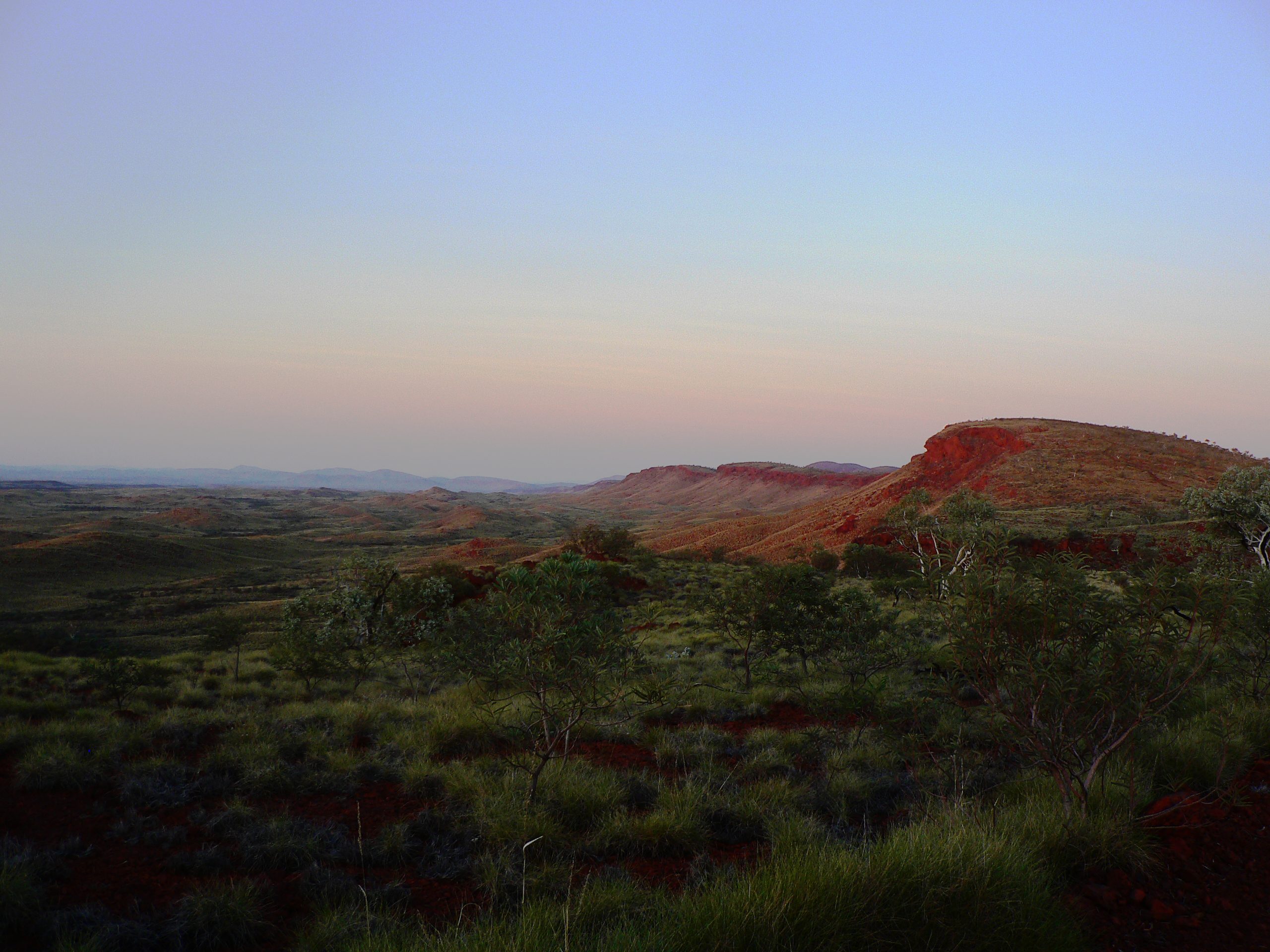 Science-led environmental consulting for complex ecological decisions