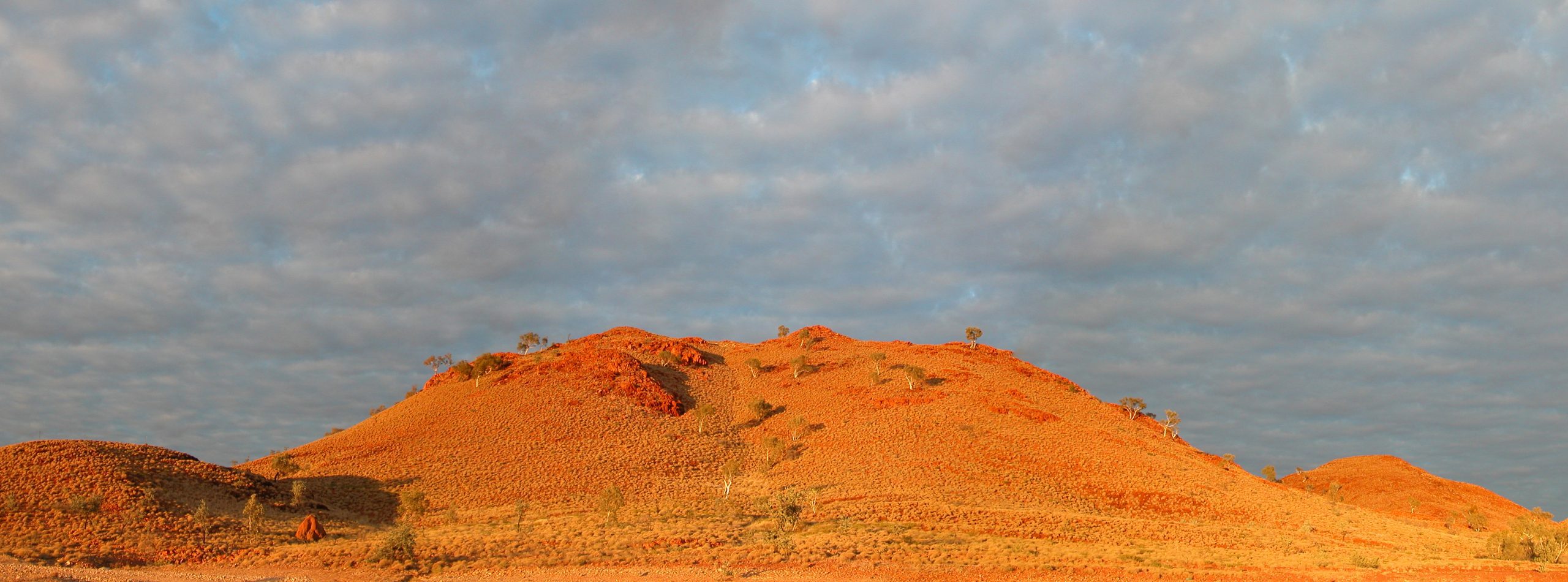 Science-led environmental consulting for complex ecological decisions