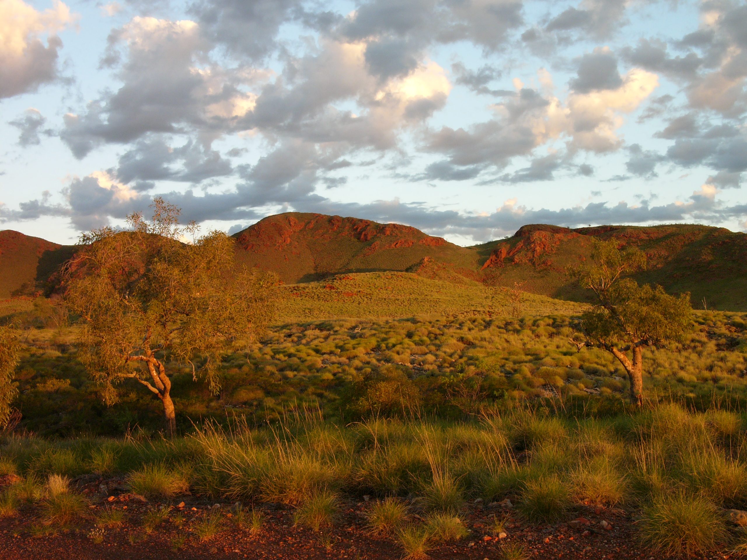 Science-led environmental consulting for complex ecological decisions