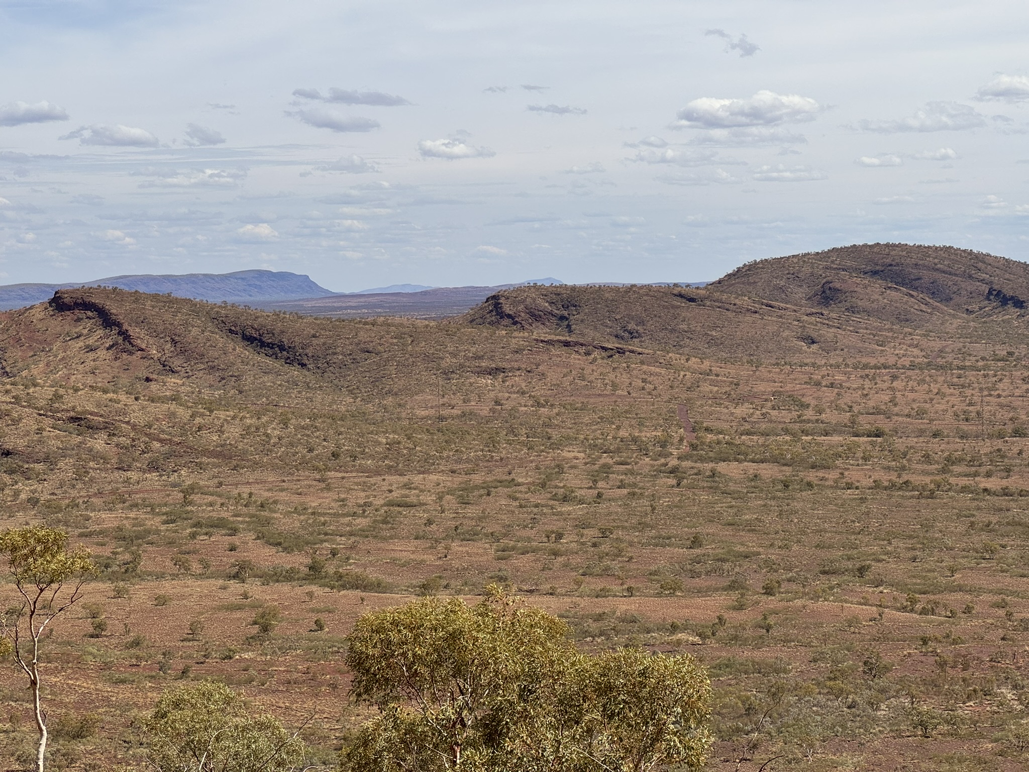Science-led environmental consulting for complex ecological decisions