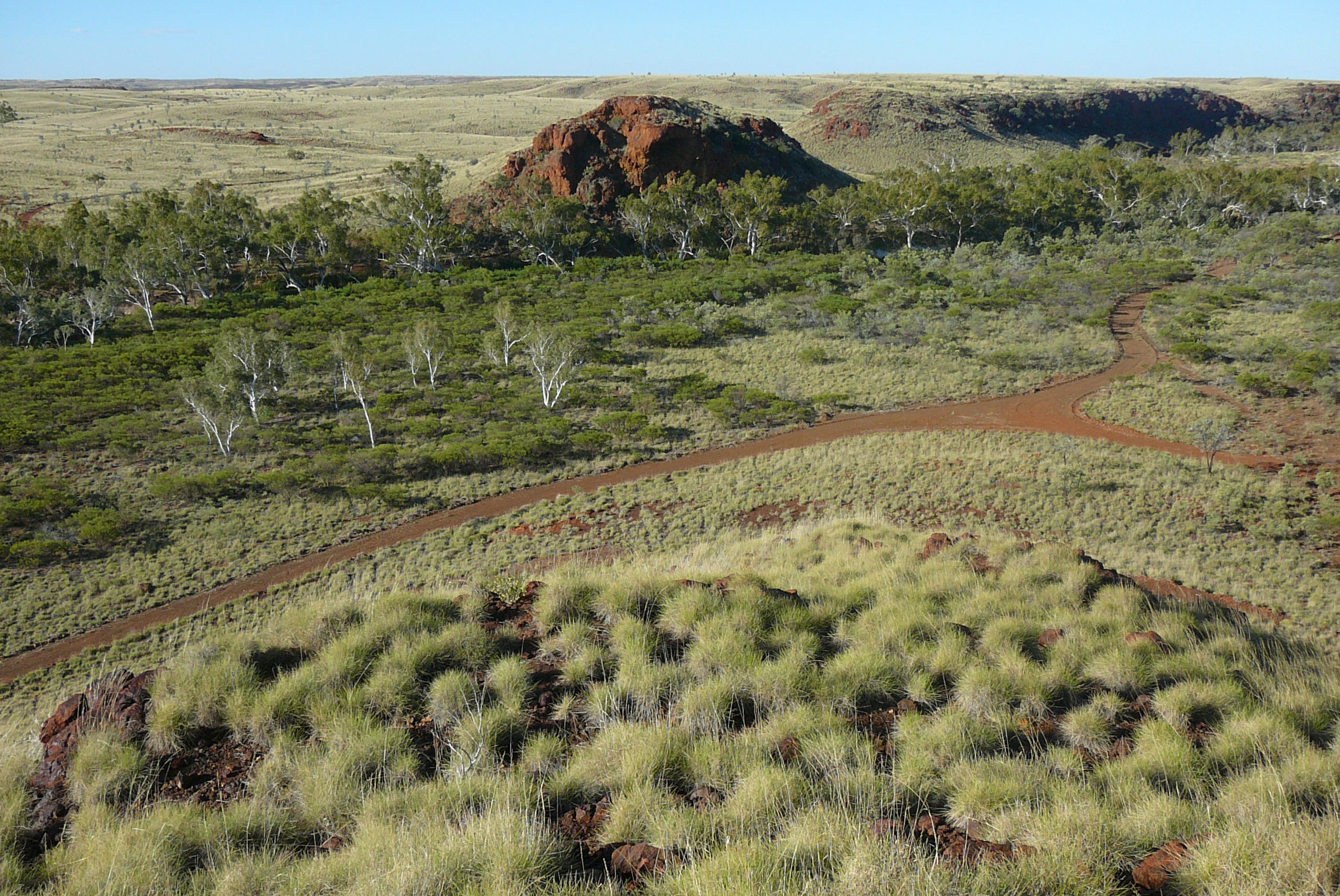 Science-led environmental consulting for complex ecological decisions